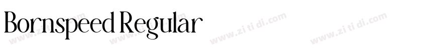 Bornspeed Regular字体转换